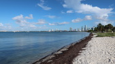 Enlarge photo 49