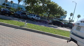 Enlarge photo 50