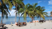 Enlarge photo 54
