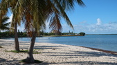 Enlarge photo 56