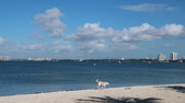 Enlarge photo 58