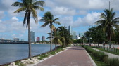 Enlarge photo 64