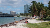 Enlarge photo 66