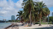 Enlarge photo 67