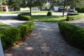 Enlarge photo 42