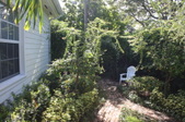 Enlarge photo 78