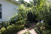 Enlarge photo 79
