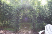 Enlarge photo 80