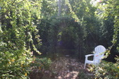 Enlarge photo 81