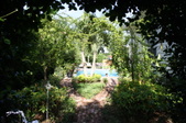Enlarge photo 83