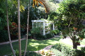 Enlarge photo 60