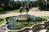 Enlarge photo 62