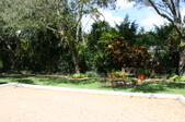Enlarge photo 63