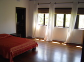 Enlarge photo 172