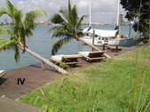 Enlarge photo 69