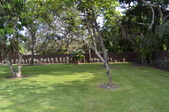 Enlarge photo 62