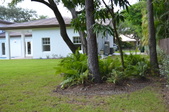 Enlarge photo 72