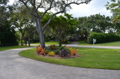 Enlarge photo 90
