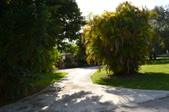Lori W house