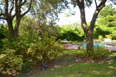 Enlarge photo 56