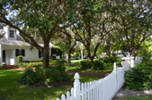 Enlarge photo 63