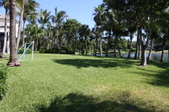 Enlarge photo 87