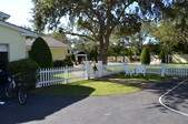 Enlarge photo 56