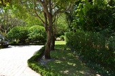 Enlarge photo 192