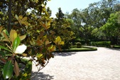 Enlarge photo 193