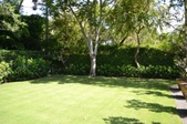 Enlarge photo 64
