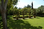 Enlarge photo 65