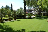 Enlarge photo 66
