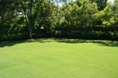 Enlarge photo 72