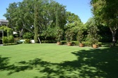 Enlarge photo 76