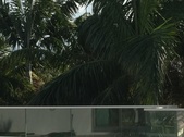 Enlarge photo 54