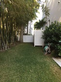 Enlarge photo 55