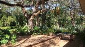 Enlarge photo 29