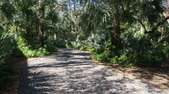 Enlarge photo 30