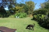Enlarge photo 21