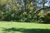 Enlarge photo 28