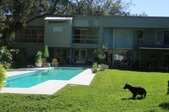 Enlarge photo 31