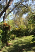 Enlarge photo 33