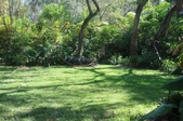 Enlarge photo 35