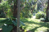Enlarge photo 37