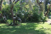 Enlarge photo 38