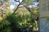 Enlarge photo 40