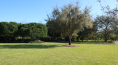 Enlarge photo 37