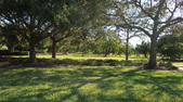 Enlarge photo 39