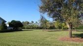 Enlarge photo 41