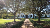 Enlarge photo 48